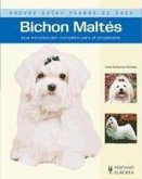 Bichón maltés