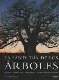 La sabiduría de los árboles