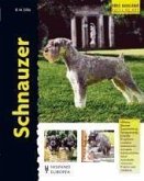 Schnauzer