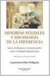 Minorías sexuales y sociología de la diferencia : gays, lesbianas y transexuales ante el debate identitario