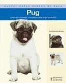 Pug