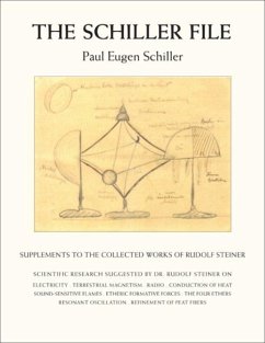 The Schiller File - Schiller, Paul-Eugen