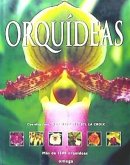 Orquídeas