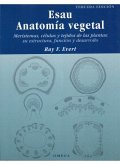 Anatomía vegetal