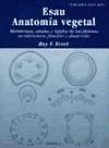 Anatomía vegetal - Esau, Katherine; Evert, Ray F.