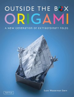 Outside the Box Origami - Stern, Scott Wasserman