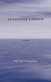 Augustine's Vision