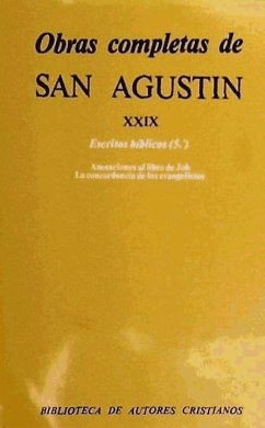 Escritos bíblicos, 5 - San Agustín