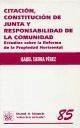 Citación, constitución de junta y responsabilidad de la comunidad - Sierra Pérez, Isabel