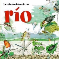 La vida alrededor de un río - Cucchiarini, Ferruccio