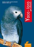 Yaco o loro africano