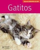 Gatitos : manuales mascotas en casa