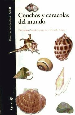 Conchas y caracolas del mundo - Zobele Lipparini, Giovanna; Negra, Osvaldo