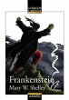 Frankenstein - Bild 1