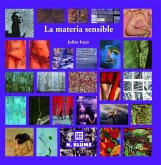 La materia sensible : técnicas experimentales de pintura