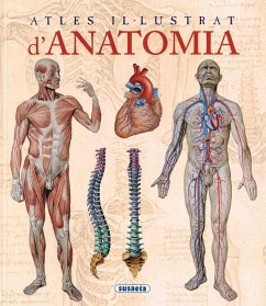 Atles il·lustrat d'anatomia - Rugutti, Adriana