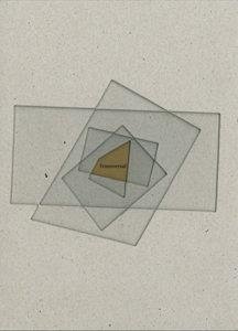 Cover Transversal : BIACS3-YOUniverse