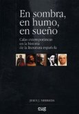En sombra, en humo, en sueño : calas extemporáneas en la historia de la literatura española