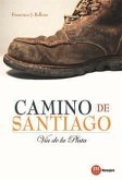 Camino de Santiago : Vía de la Plata