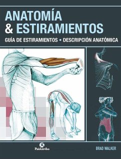 Anatomía & estiramientos : guía de estiramientos : descripción anatómica - Walker, Brad