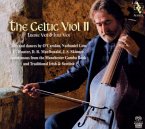 The Celtic Viol 2