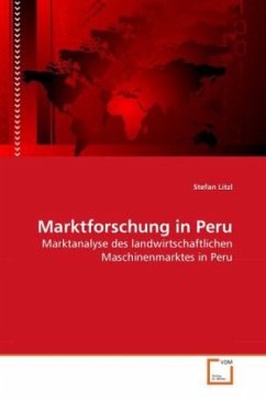 Marktforschung in Peru - Litzl, Stefan