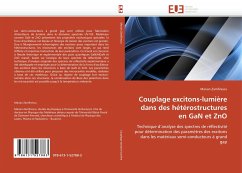 Couplage excitons-lumière dans des hétérostructures en GaN et ZnO - Zamfirescu, Marian