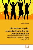 Die Bedeutung der Jugendkulturen fu r die Adoleszenzphase