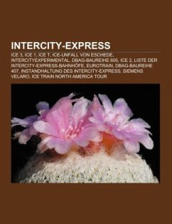 Intercity-Express Intercity-Express
