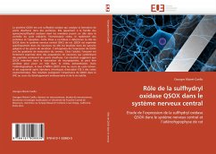 Rôle de la sulfhydryl oxidase QSOX dans le système nerveux central - Mairet-Coello, Georges