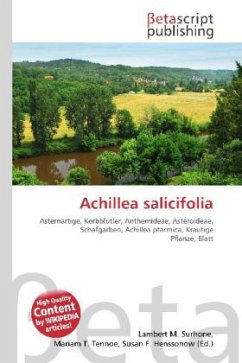 Achillea salicifolia