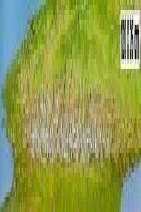 Cover Pirineos norte