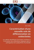 Caractérisation d'Une Nouvelle Voie de Différenciation En Ostéoclastes