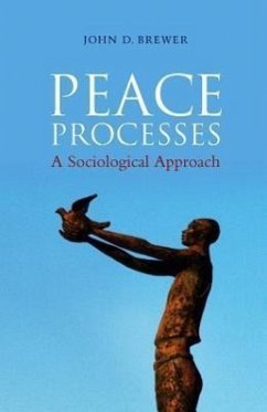 Peace Processes - Brewer, John D