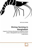 Shrimp farming in Bangladesh