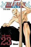 Bleach 23 Bleach 23