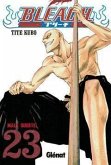 Bleach 23