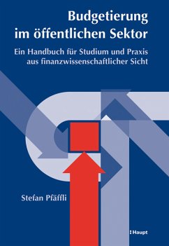 Budgetierung im Öffentlichen Sektor - Pfäffli, Stefan