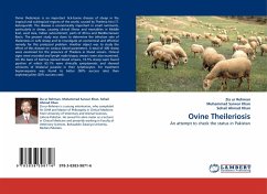 Ovine Theileriosis