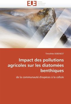 Impact des pollutions agricoles sur les diatomées benthiques - DEBENEST, Timothée