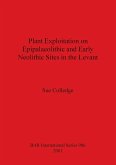 Plant Exploitation on Epipalaeolithic and Early Neolithic Sites in the Levant