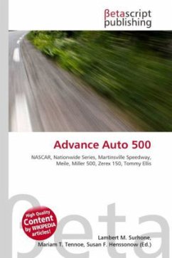 Advance Auto 500