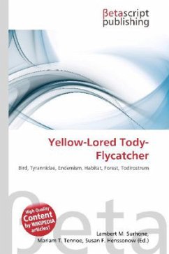 Yellow-Lored Tody-Flycatcher