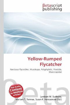 Yellow-Rumped Flycatcher