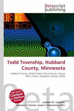 Todd Township, Hubbard County, Minnesota