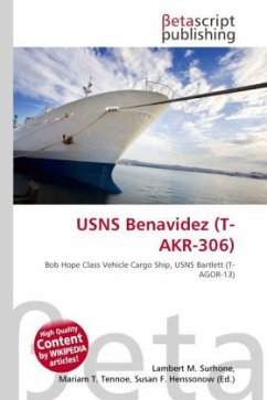 Cover USNS Benavidez (T-AKR-306)