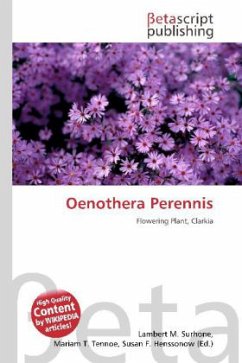Oenothera Perennis