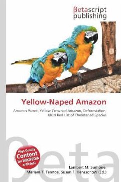 Yellow-Naped Amazon