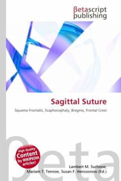 Sagittal Suture
