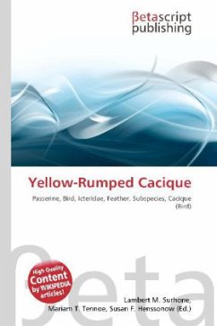 Yellow-Rumped Cacique